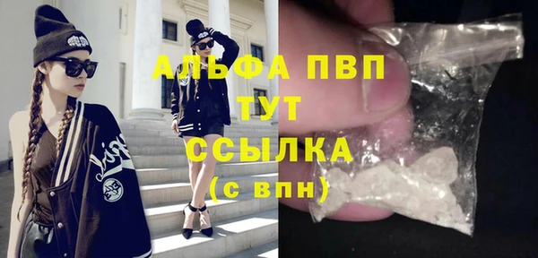 spice Дмитриев