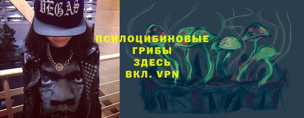 spice Дмитриев
