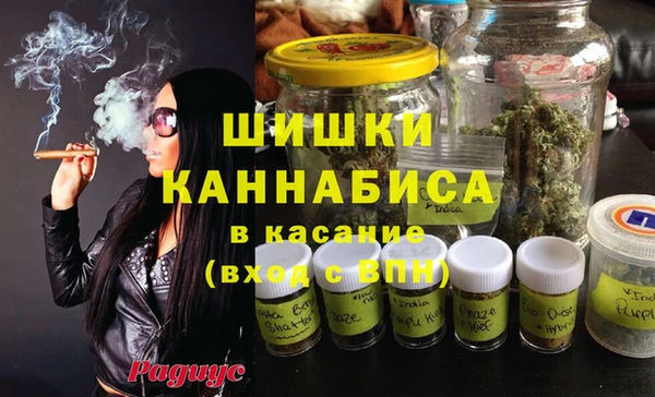 spice Дмитриев