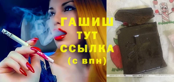 spice Дмитриев