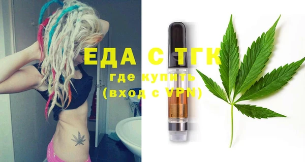 spice Дмитриев