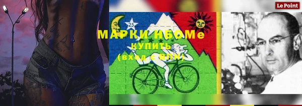 spice Дмитриев