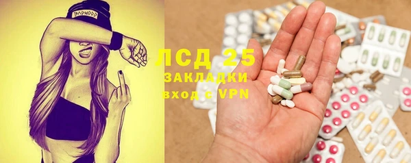 spice Дмитриев