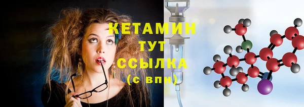 spice Дмитриев