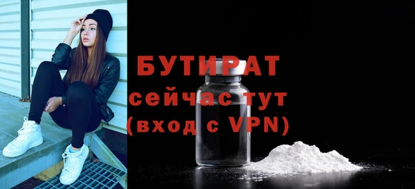 spice Дмитриев