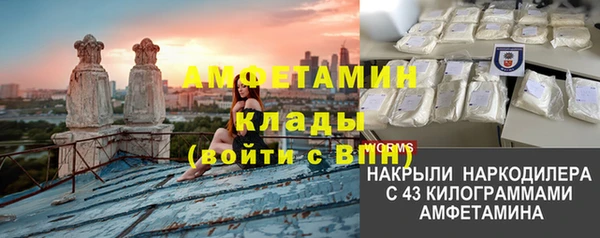 spice Дмитриев