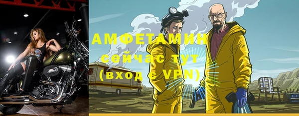 spice Дмитриев