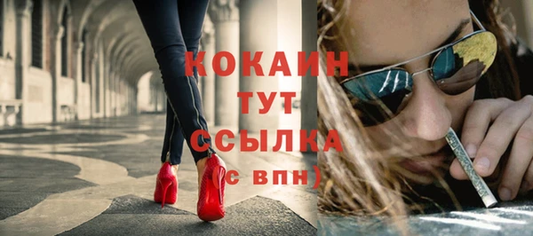 spice Дмитриев