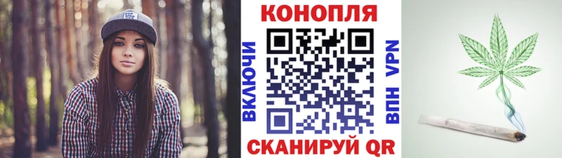 Купить где  Шенкурск  Конопля THC 21% 